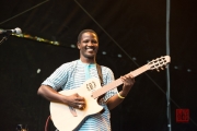 Bardentreffen 2014 - Habib Koite - Guitar