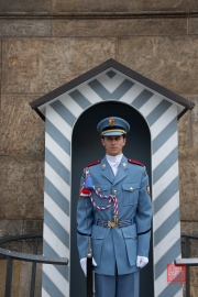 Prague 2014 - Castle Guard