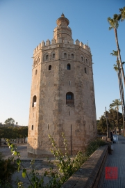 Seville 2015 - Torre del Oro