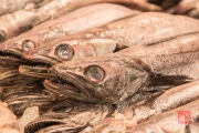 Cadiz 2015 - Market - Fish II