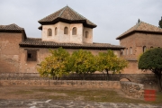 Granada 2015 - Alhambra - Orange Trees