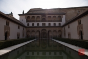 Granada 2015 - Alhambra - Garden I